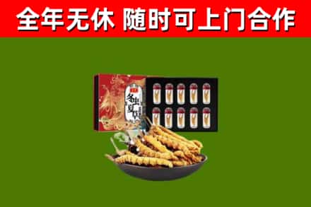 应县回收冬虫夏草价格